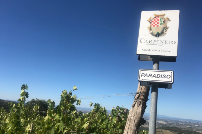 Decanter Wine Awards 2024, trionfa il Brunello di Montalcino Carpineto