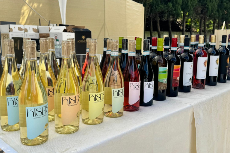 MDM Wine Group: verso nuovi orizzonti con CaesarNet. Obiettivo Polonia e Ucraina.