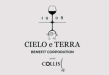 Cielo e Terra chiude il 2024 con crescita e sostenibilità record